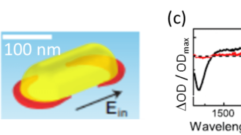 BCMaterials Fortnightly Seminars #44